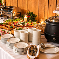 Festive hotel buffet with chafing dishes, soup pot, stacked plates and bowls, salads, cold cuts, bread and candlelit greenery.