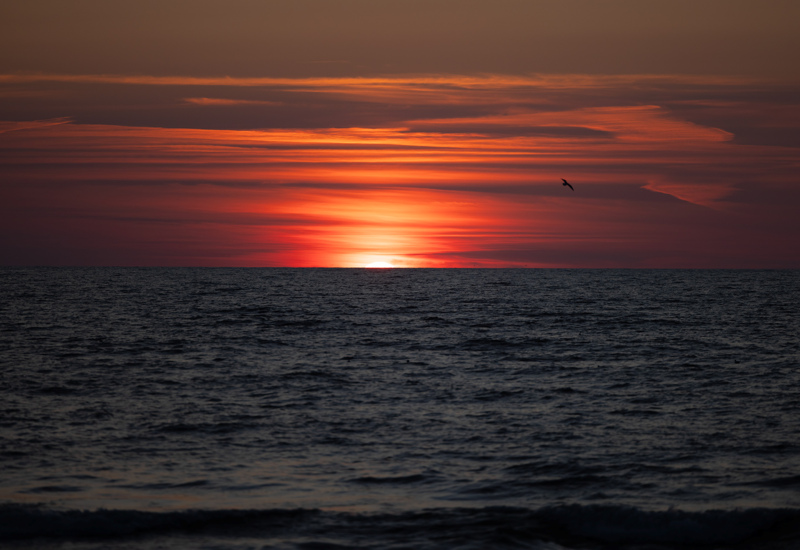 Malowniczy zachód słońca nad spokojnym oceanem z ptakiem szybującym na tle ognistych chmur