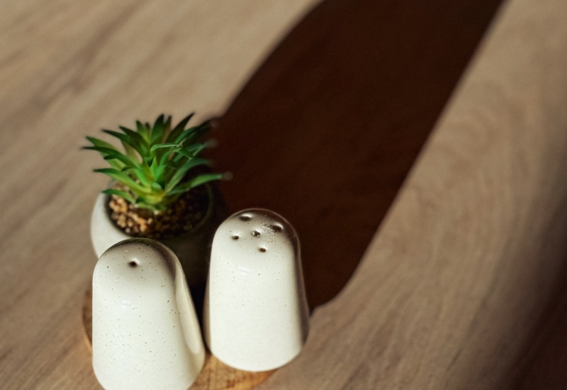 Zestaw ceramicznych solniczki i pieprzniczki obok małej doniczki z sukulentem na drewnianym stole