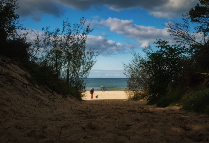 Plaża z miękkim piaskiem otoczona roślinnością, z osobą spacerującą z psem przy spokojnym morzu pod błękitnym niebem.