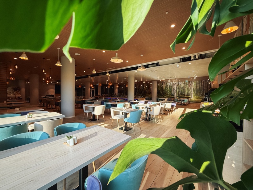 Helle, geräumige Hotelrestaurant mit Holztischen, weichen türkisfarbenen und cremefarbenen Stühlen und Waldwandbild.
