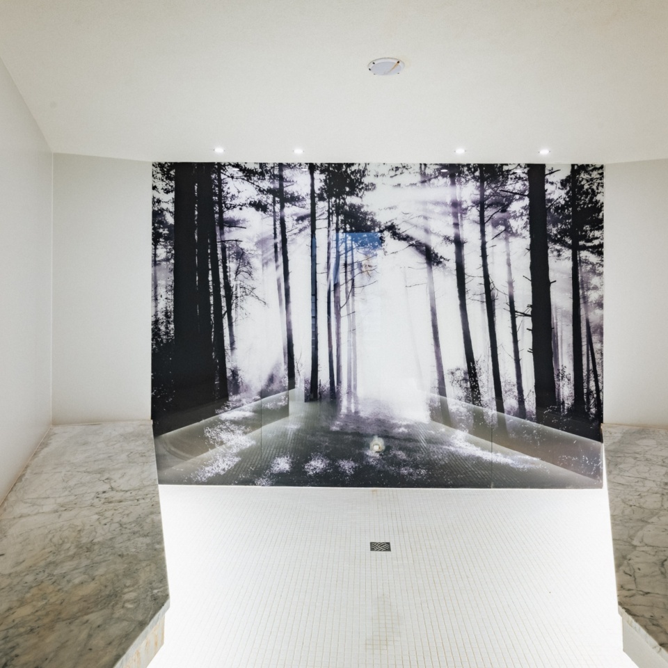 Przestronna, nowoczesna łazienka hotelowa z marmurowymi blatami i dekoracyjnym muralem lasu na ścianie.