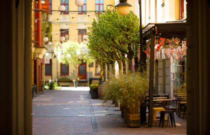 Outdoor dining area on a charming street lined with green trees and hanging lanterns, offering a cozy and relaxed atmosphere