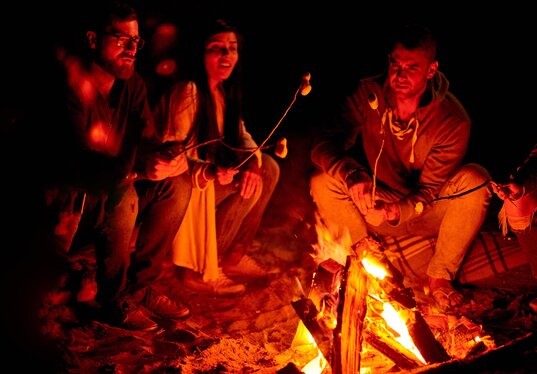 Group roasting marshmallows over a warm beach bonfire, cozy nighttime gathering by the fire