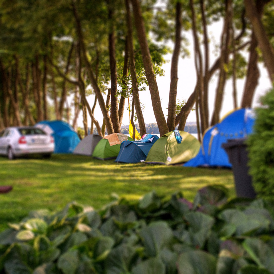 Lakeside campsite with colorful tents pitched under tall trees, a parked car and shaded grassy area.