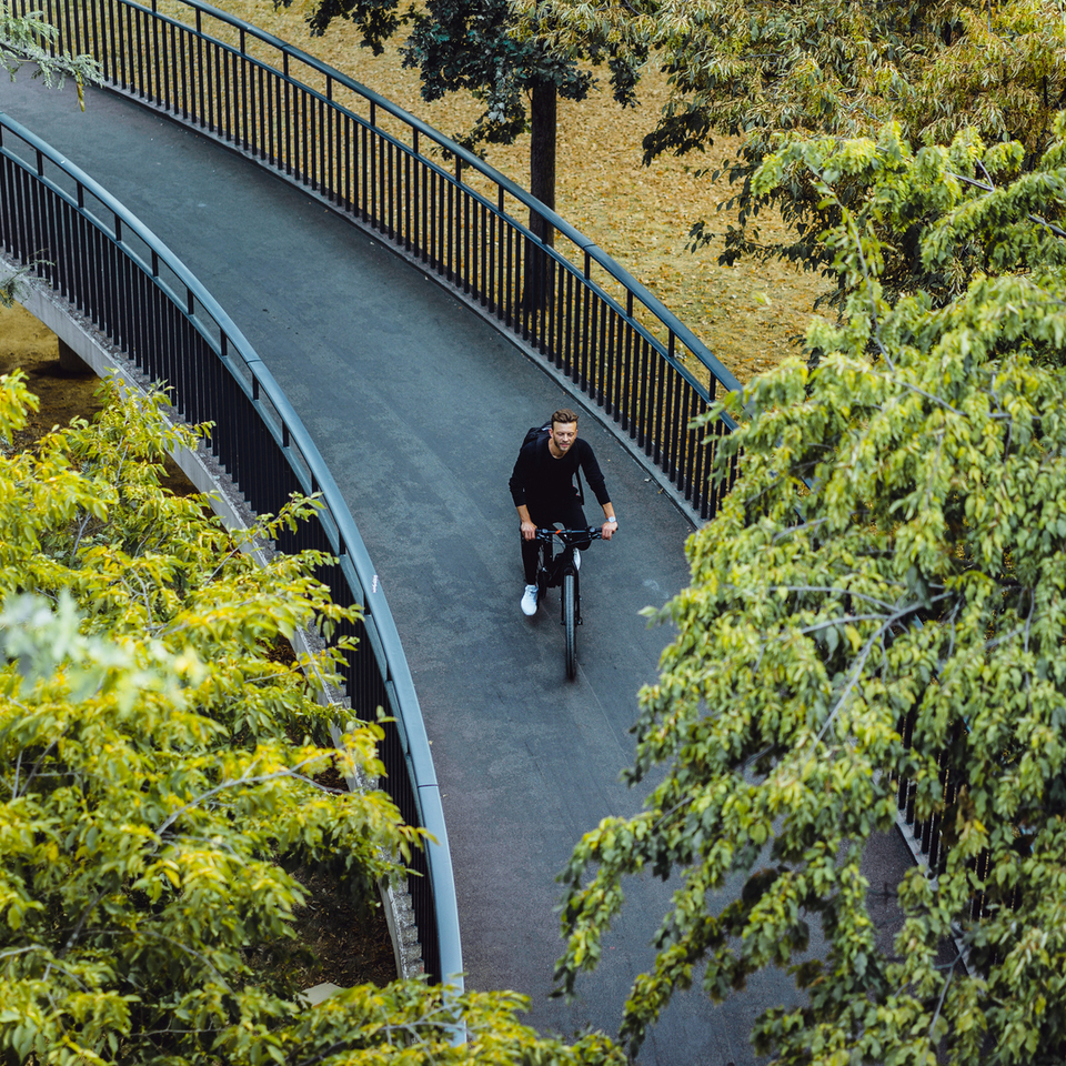 Man cycling on curved elevated park path surrounded by lush green trees