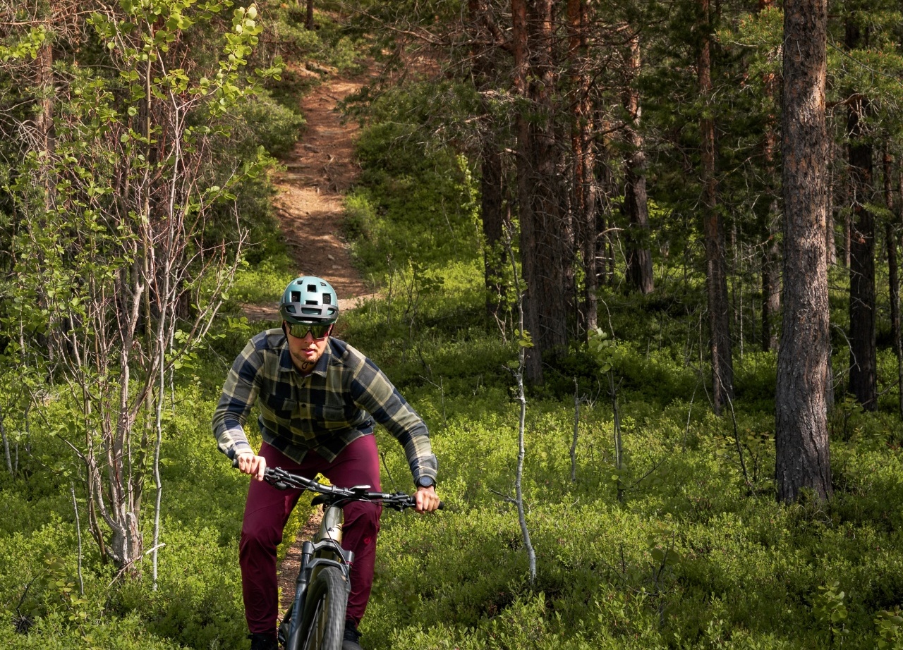 Solo cyclist in helmet rides a mountain bike on a narrow trail through sunlit pine forest and lush green underbrush