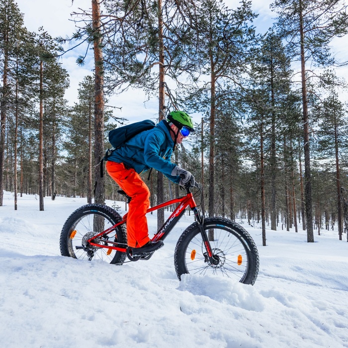 Person riding a red fat-tire bike through snowy pine forest, wearing green helmet, blue jacket and orange snow pants.
