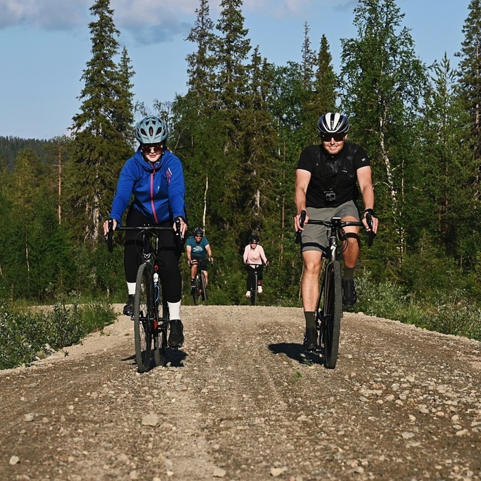 Four cyclists on a sunlit gravel trail through pine and birch forest, two lead in helmets and sporty cycling gear.