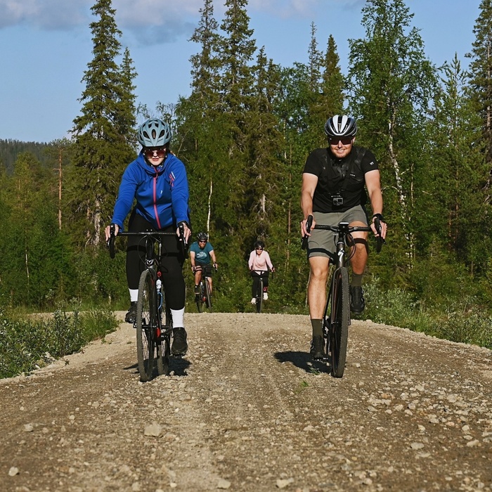 Four cyclists in helmets riding on a sunlit gravel forest trail surrounded by tall pine trees