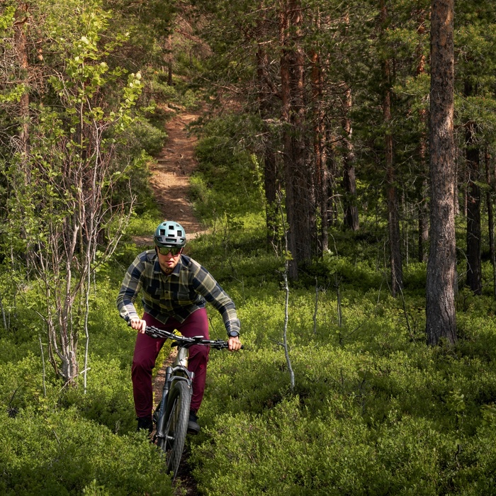 Solo cyclist in helmet rides a mountain bike on a narrow trail through sunlit pine forest and lush green underbrush