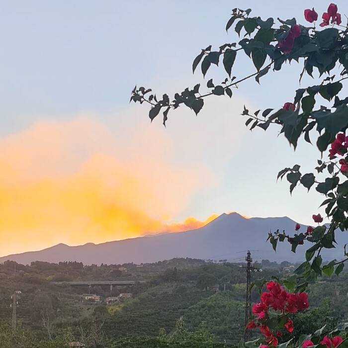 Mountain silhouette at sunset with warm orange clouds, pink bougainvillea framing a panoramic valley view.