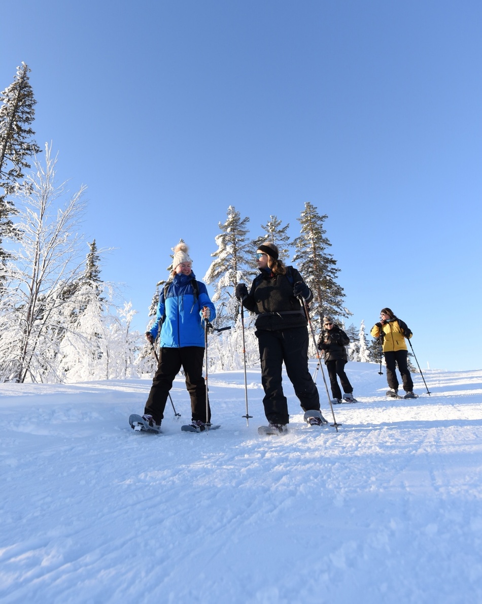 Guests on a guided snowshoe hike across a sunlit, snow-covered forest under a clear blue sky