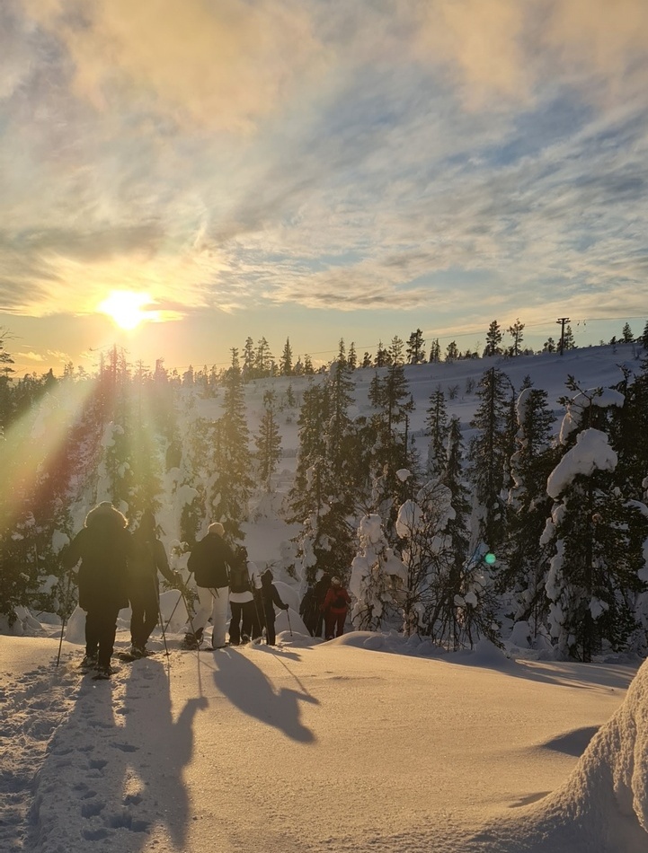Guests on a guided snowshoe walk through sunlit snowy pine forest at golden hour, trekking downhill across fresh powder