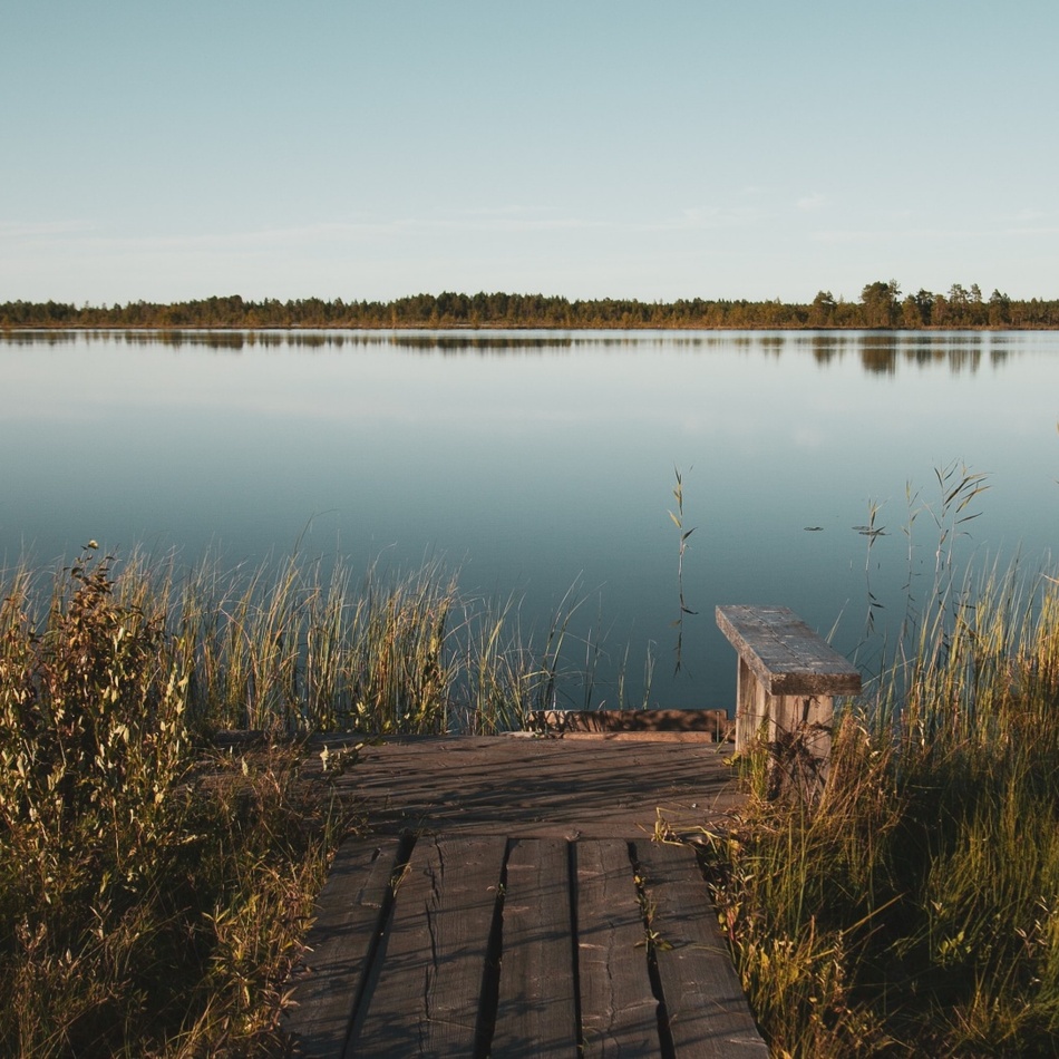 Calm lake with a rustic wooden jetty and bench, tall reeds at the shore and a tree-lined horizon under clear sky