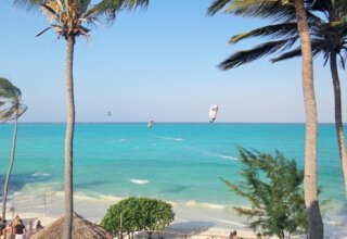 Tropical beach with swaying palm trees, turquoise water, guests gathered on white sand, and kite surfers in the distance
