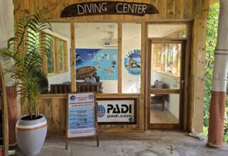 Cozy wooden diving center office with colorful marine-themed mural, booking signage, indoor plants, and a staff member at the desk.