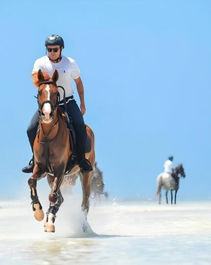 Guests enjoying horseback riding along a shallow beach shoreline under clear blue skies on a sunny day