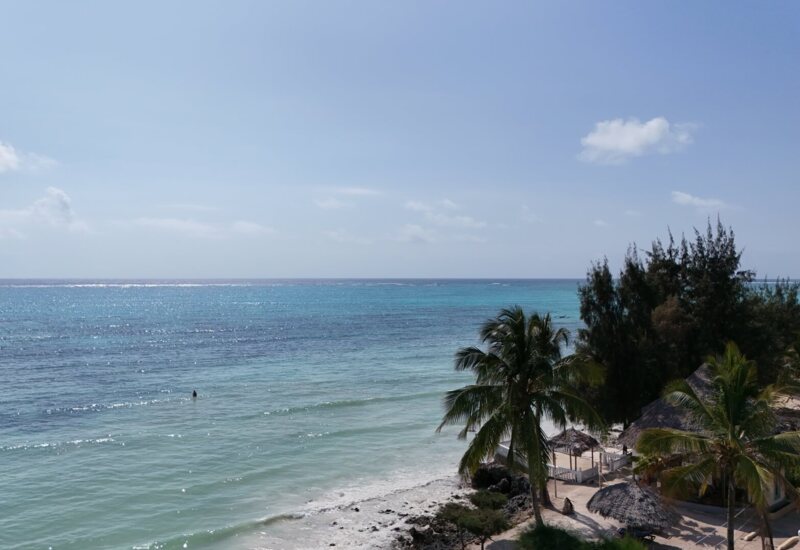 Beachfront resort with palm trees and thatched huts along turquoise ocean waters under clear blue sky