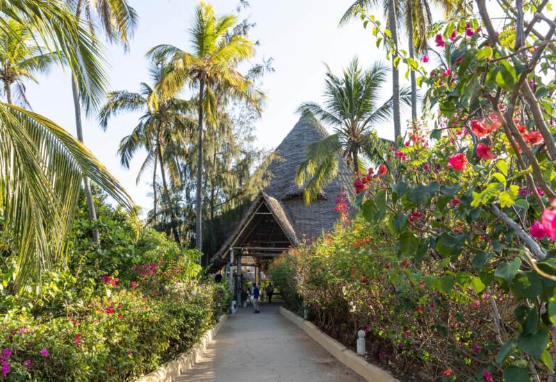 Tropical resort entrance with tall palm trees, vibrant flowering bushes, and a thatched-roof pavilion along a paved pathway
