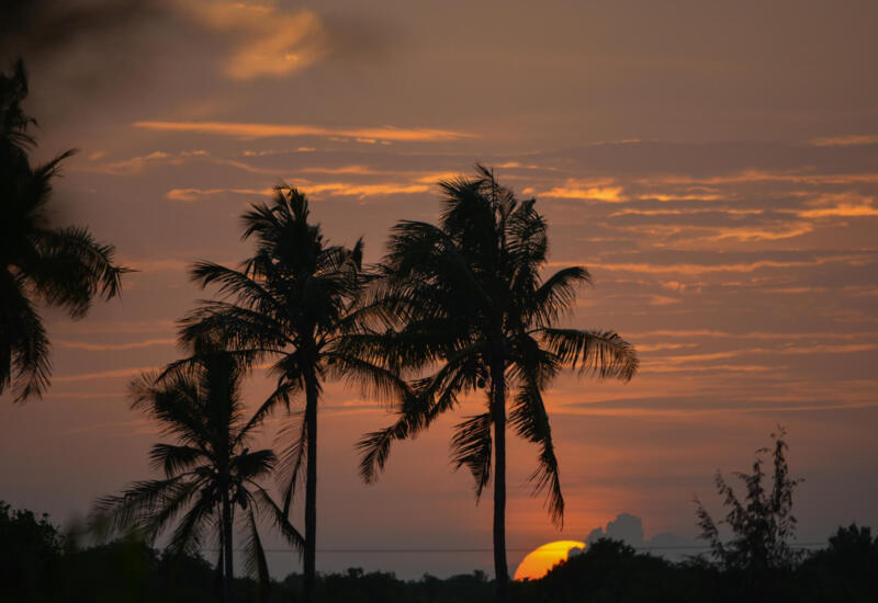 Sunset behind tall palm trees with orange and purple clouds, evoking a tropical, relaxing resort atmosphere