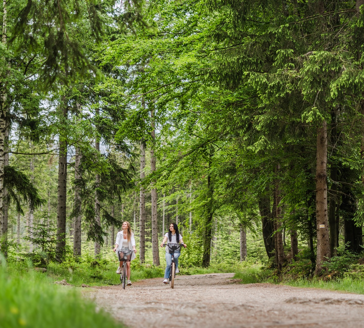Two women cycling a shaded forest trail among pines and birches, peaceful outdoor ride for hotel nature guests.