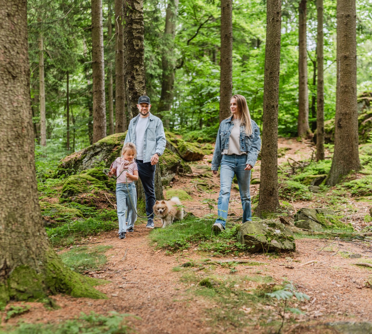 Family walking a small dog along a mossy forest trail amid tall trees and rocky terrain