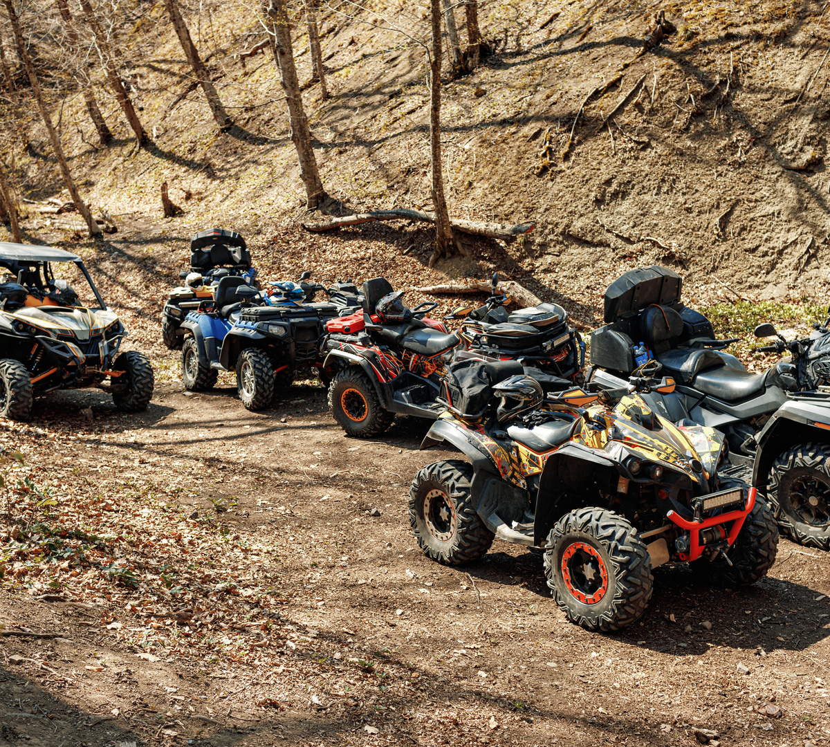 ATVs und ein Side‑by‑Side auf einer herbstlichen Waldlichtung geparkt, Helme auf Sitzen — Offroad‑Touren und Verleih