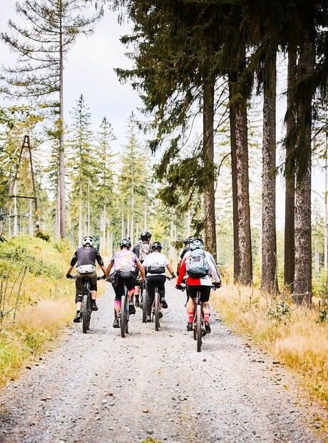 Gäste bei einer geführten Mountainbike-Tour auf einem Schotterweg durch Nadelwald, hohe Kiefern, Rucksäcke und Helme, aktives Outdoor-Erlebnis