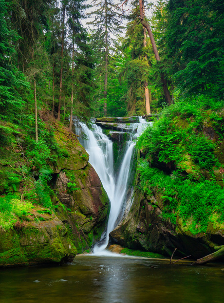 Wasserfall stürzt zwischen moosbedeckten Felsen in einen ruhigen Pool, umgeben von dichtem Nadelwald.