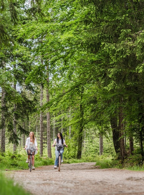 Two women cycling a shaded forest trail among pines and birches, peaceful outdoor ride for hotel nature guests.