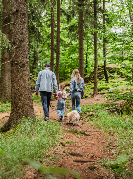 Familie som går på en skyggefull skogssti med en liten fluffy hund, omgitt av høye furutrær og grønn underskog.