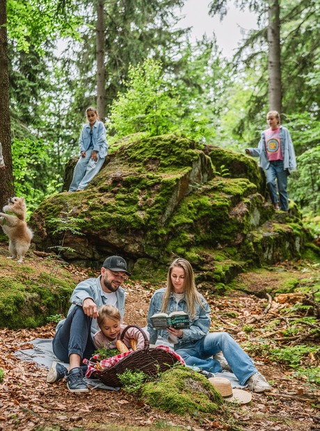 Family enjoying a forest picnic on a blanket amid mossy boulders: parents read, children explore, small dog plays.