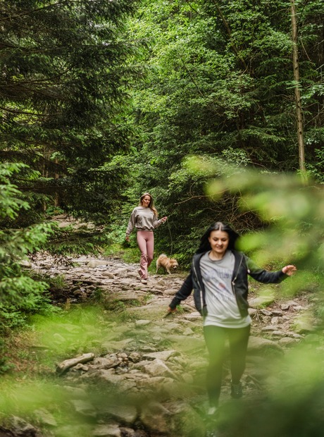 To kvinner går med en liten hund langs en steinete skogssti omgitt av tett barskog