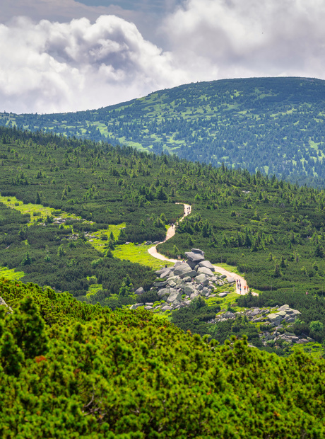 Panoramawanderweg durch grüne Bergheide mit Wanderern, markanten Felsen und dramatischem Wolkenhimmel.