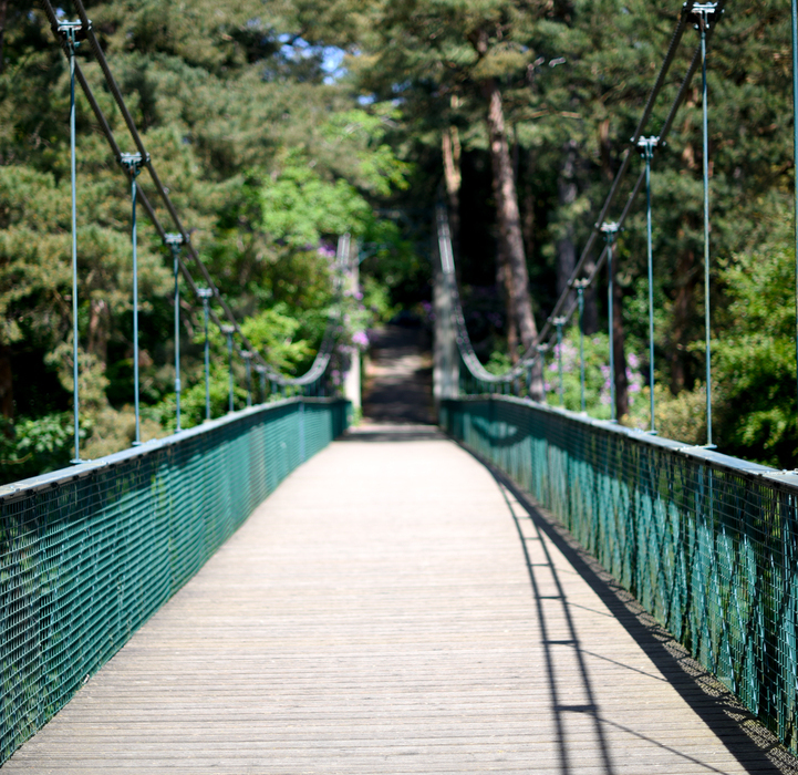Wooden suspension footbridge with green railings leading into shaded pine forest, sunlit peaceful path for guest strolls.