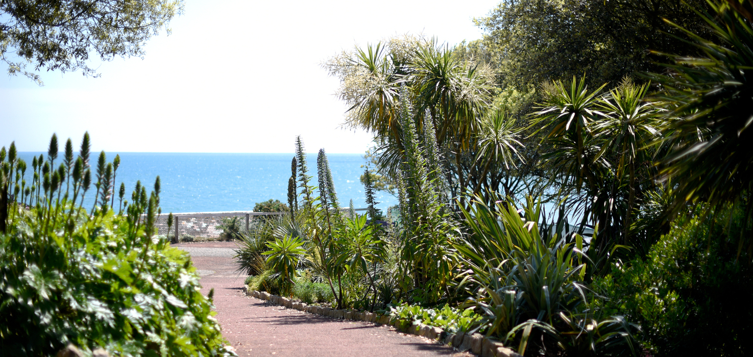 Seaside garden path framed by lush palms and coastal plants leading to a sparkling blue ocean view under clear sky.