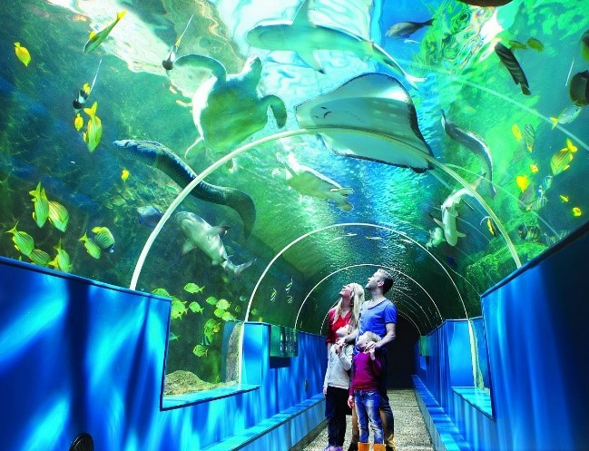 Bournemouth Oceanarium