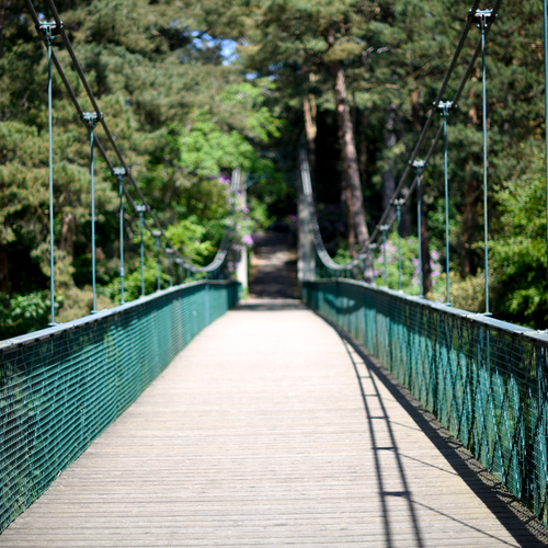 Wooden suspension footbridge with green railings leading into shaded pine forest, sunlit peaceful path for guest strolls.
