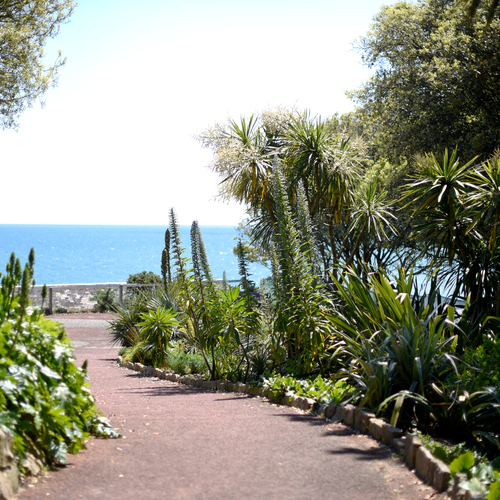 Seaside garden path framed by lush palms and coastal plants leading to a sparkling blue ocean view under clear sky.