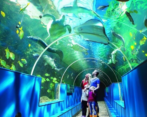 Oceanarium in Bournemouth