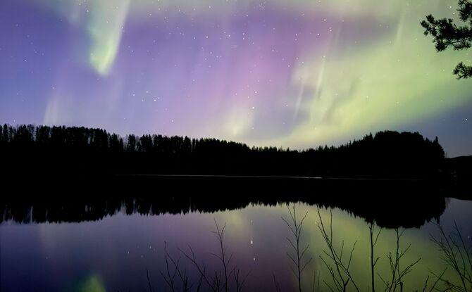 Green and purple aurora over a calm lake, silhouetted pine treeline and vivid reflection beneath a starry night sky