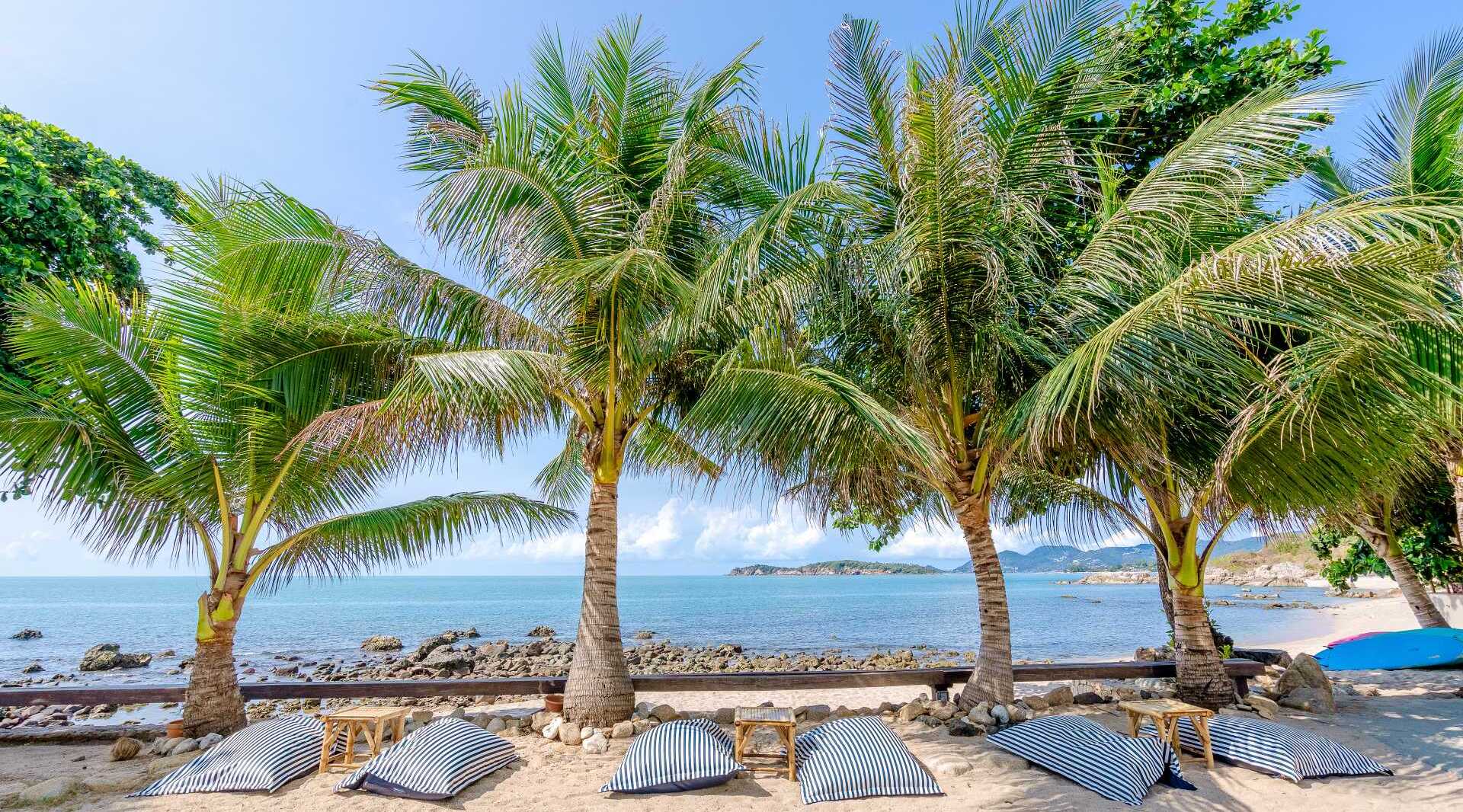 Beachfront lounge area with striped cushions under palm trees overlooking a rocky shoreline and calm sea