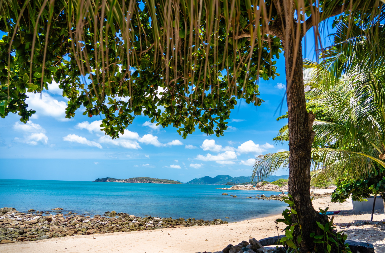 Tropical beach with clear blue water, rocky shoreline, and shaded by leafy trees and palm fronds under a bright sky