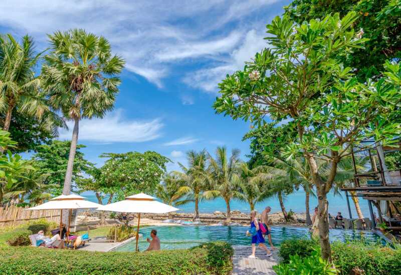 Tropical beachfront pool area with sun umbrellas, palm trees, guests lounging and walking near clear blue water on a sunny day