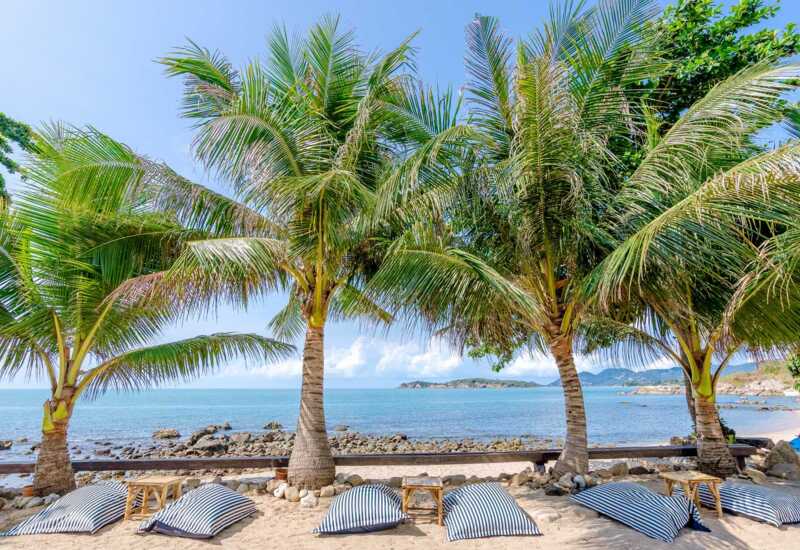 Beachfront lounge area with striped cushions under palm trees overlooking a rocky shoreline and calm sea