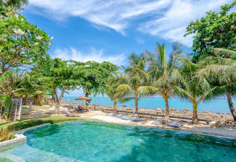Oceanfront pool surrounded by palm trees and lounge chairs with an umbrella, overlooking a rocky beach under a blue sky