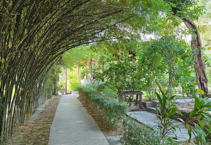 Shaded garden pathway with arching bamboo and lush greenery leading to a tranquil outdoor hotel area