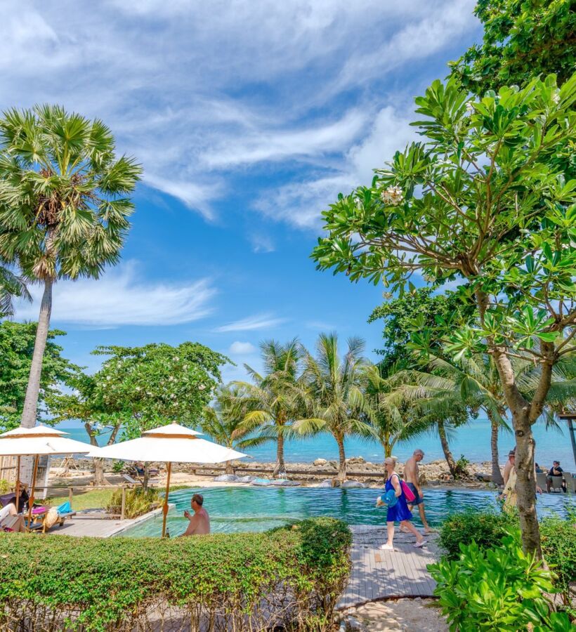 Tropical beachfront pool surrounded by palm trees and greenery, with guests relaxing under umbrellas and walking by the water