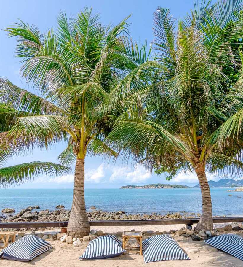 Beachfront lounge area with striped cushions under palm trees overlooking a rocky shoreline and calm sea